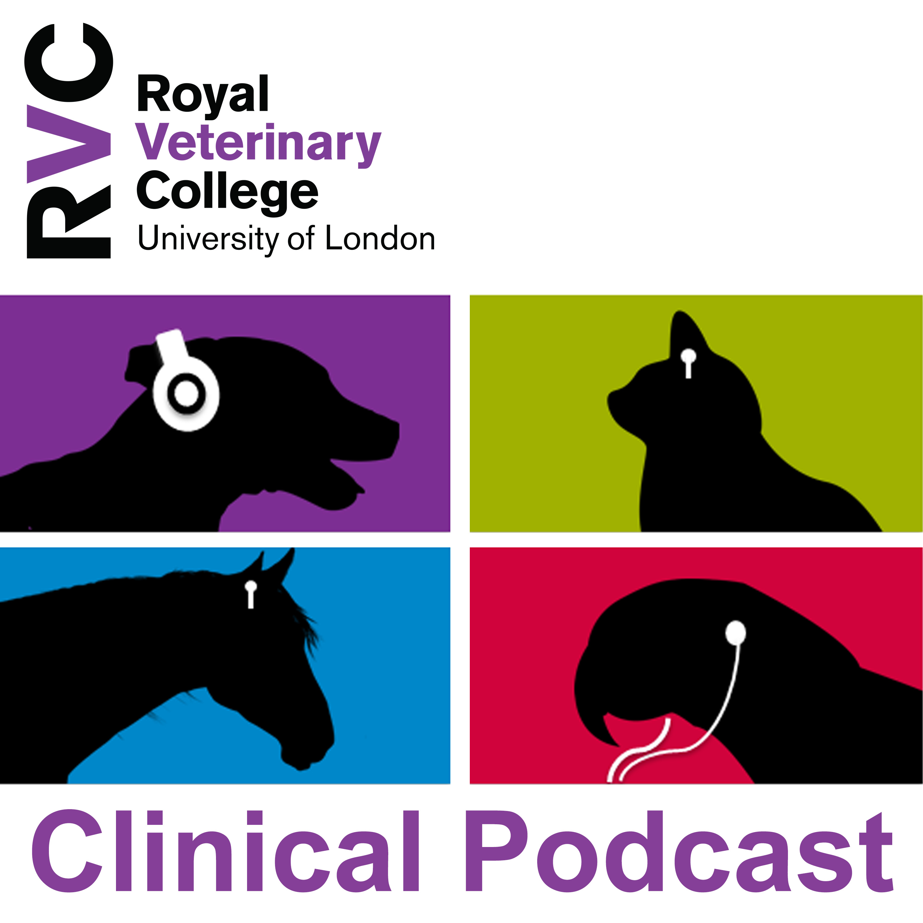 Veterinary Clinical Podcasts
