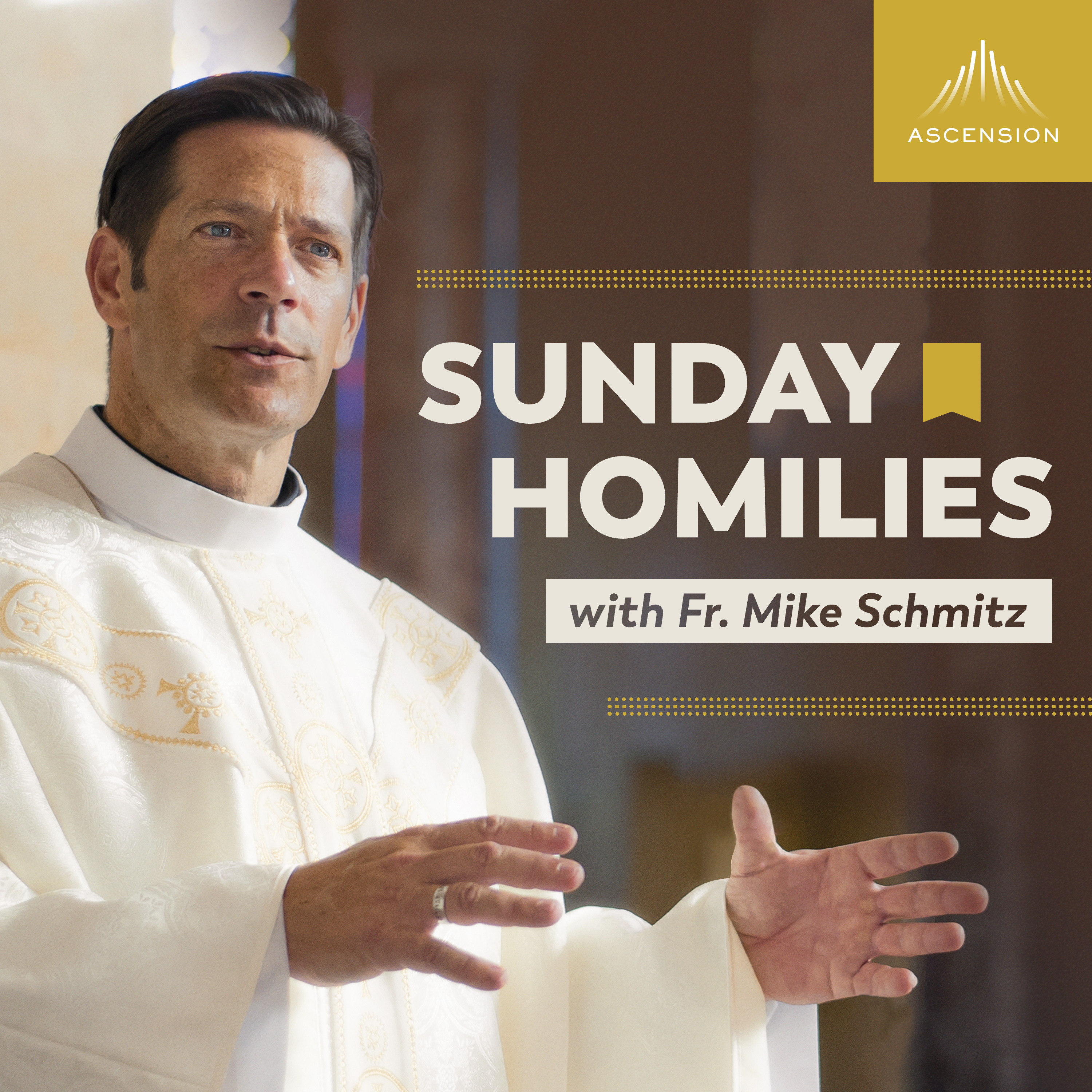 Sunday Homilies with Fr. Mike Schmitz