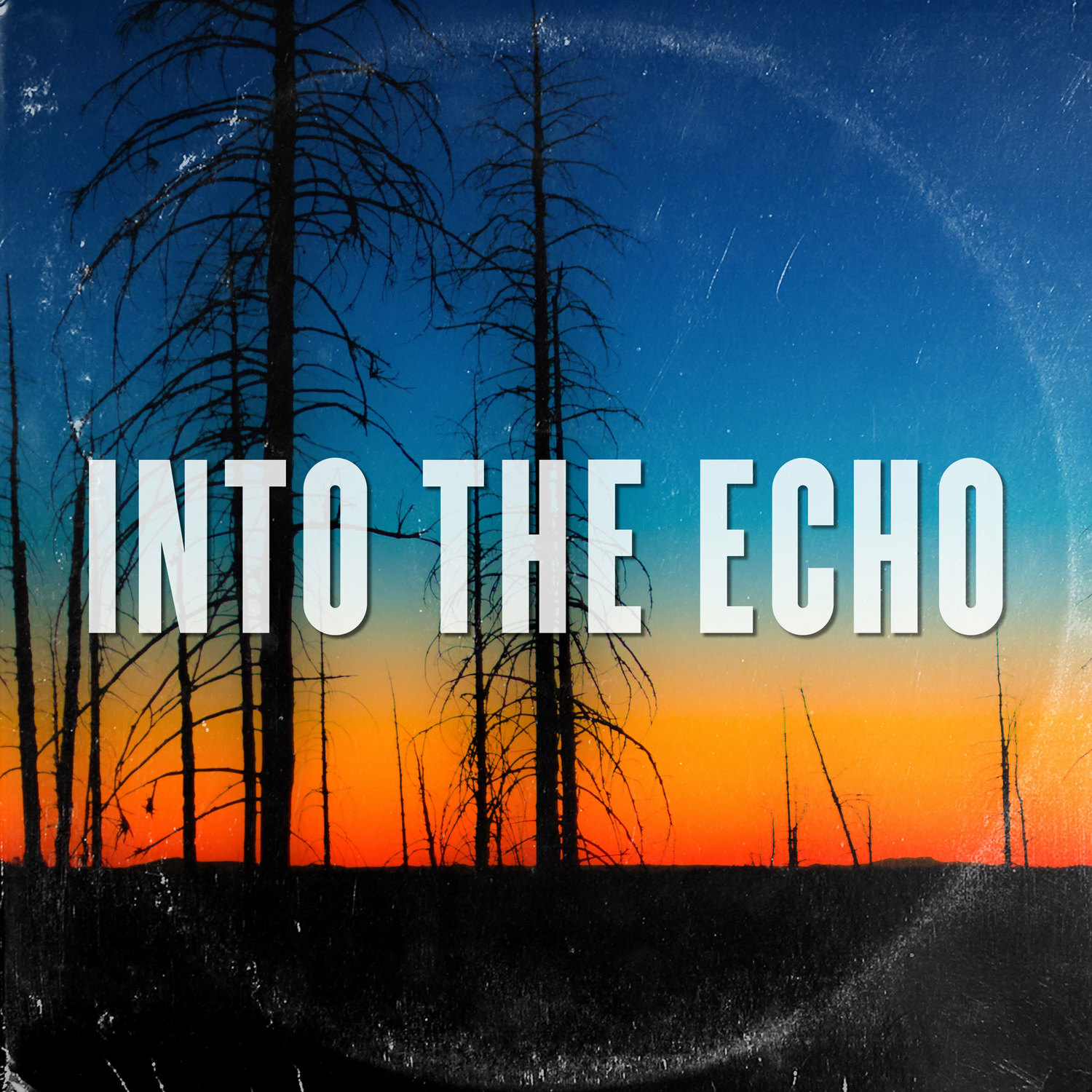 Into the Echo