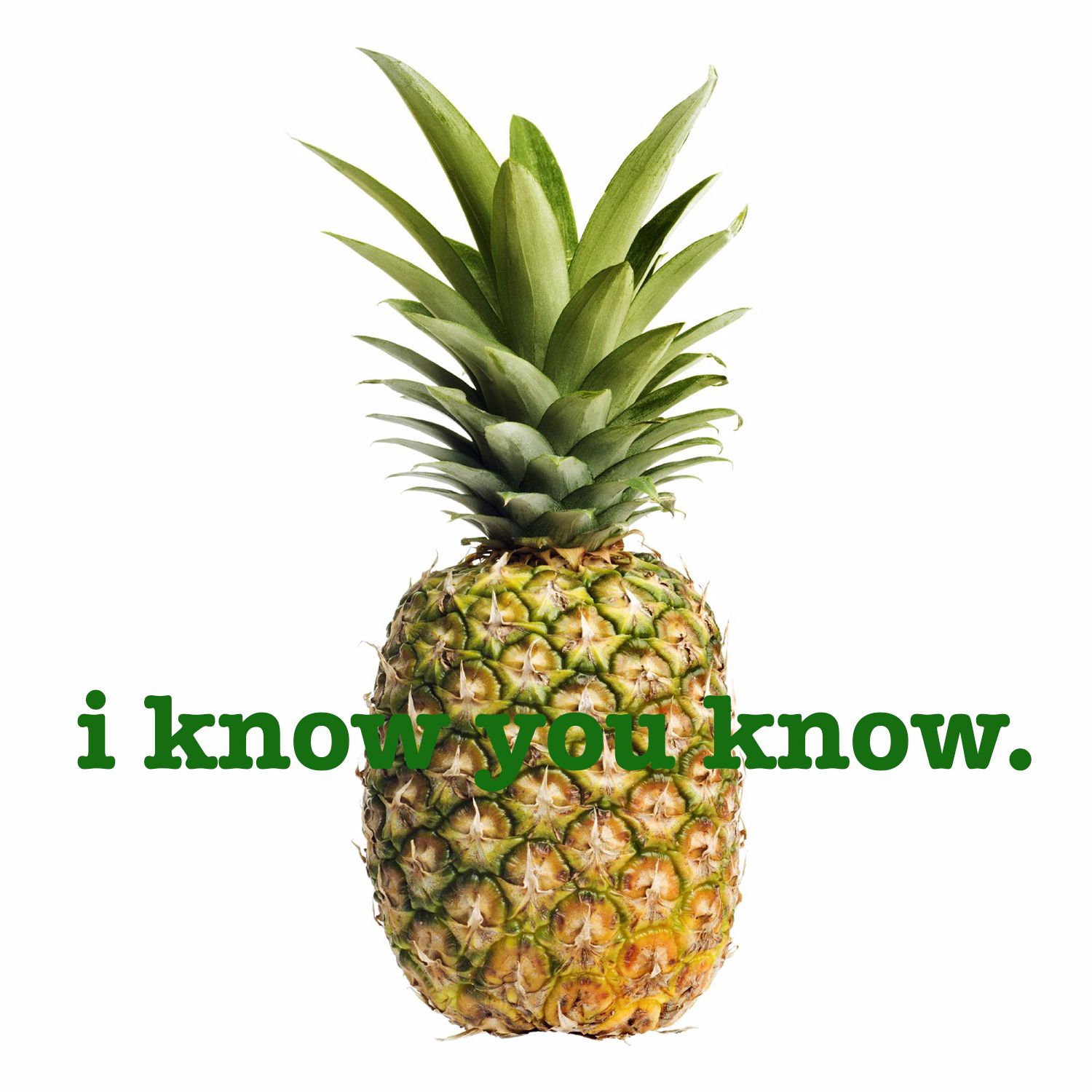 I Know, You Know: a podcast about Psych