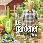 The joe gardener Show - Organic Gardening - Vegetable Gardening - Expert Garden Advice From Joe Lamp'l