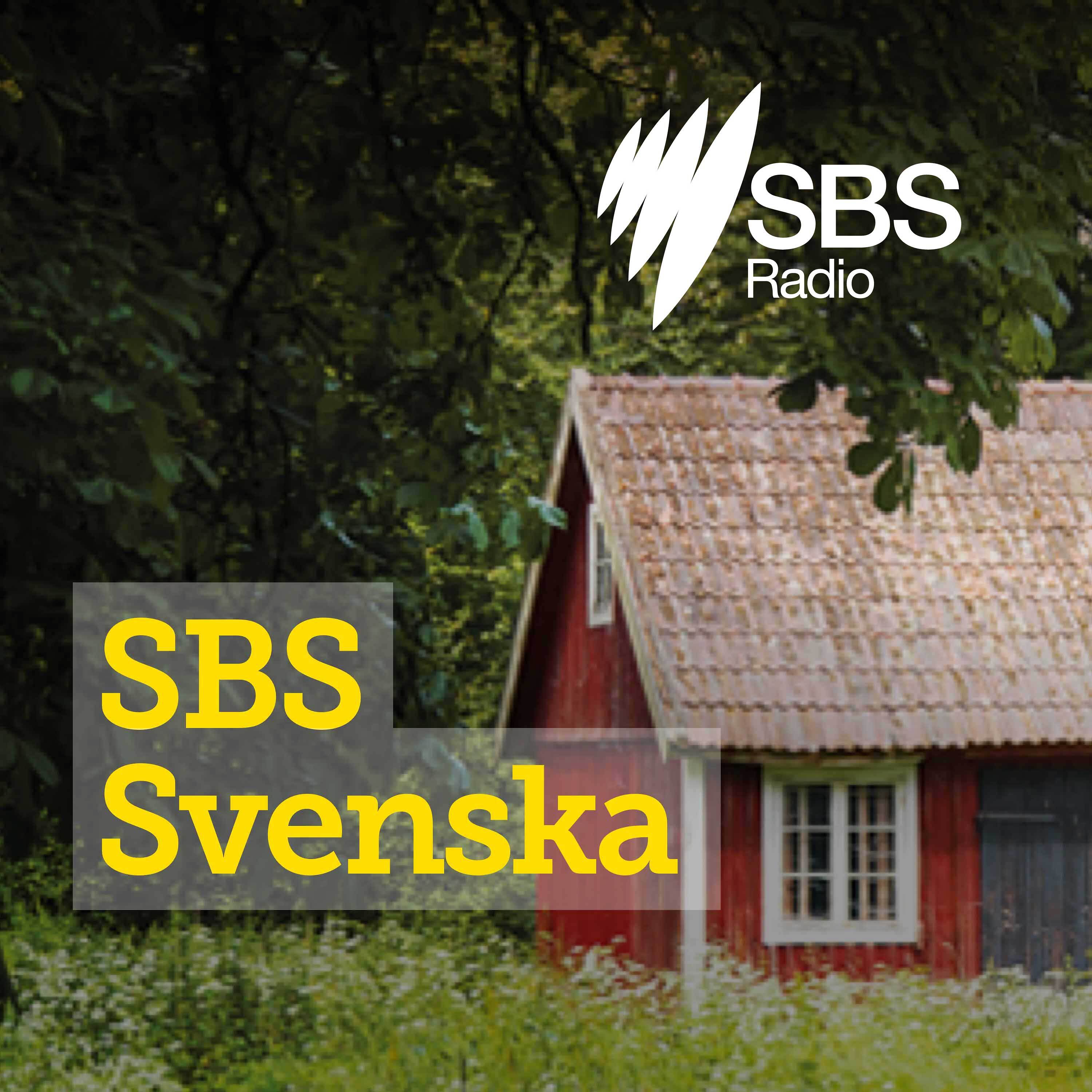 SBS Svenska